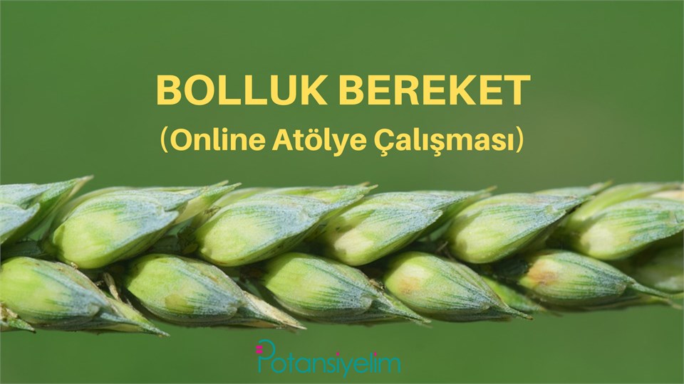 Kuantum ile Bolluk Bereket Atölye Çalışması (Online)