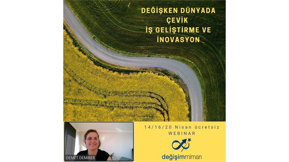 DEĞİŞKEN DÜNYADA ÇEVİK İŞ GELİŞTİRME VE İNOVASYON