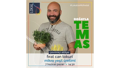 MİKRO YEŞİL ROCKS!