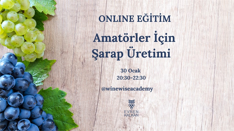 Amatörler İçin Evde Şarap Yapımı