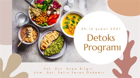 Detoks Programı 