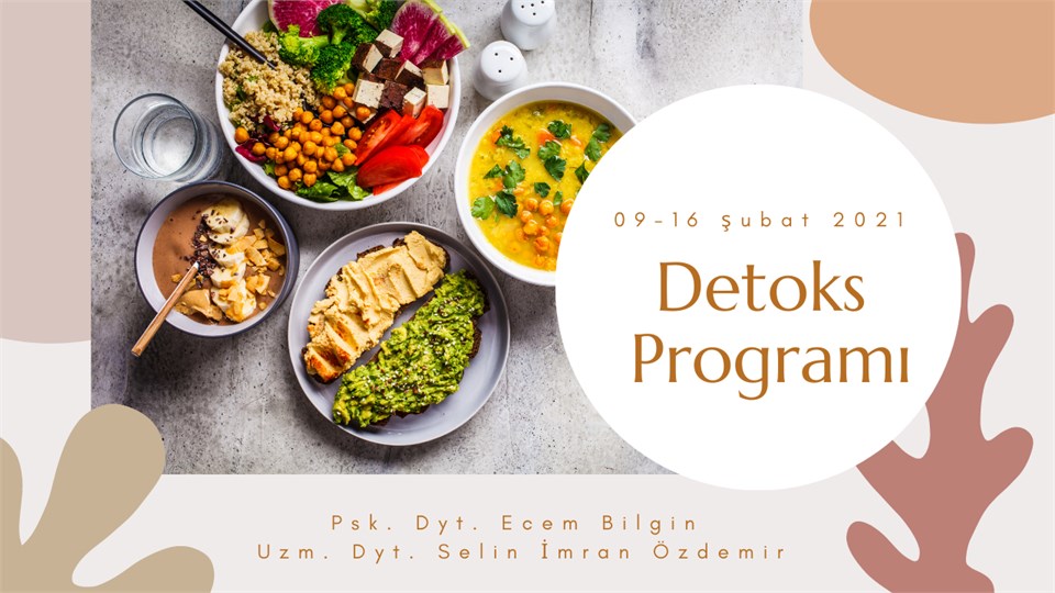 Detoks Programı 