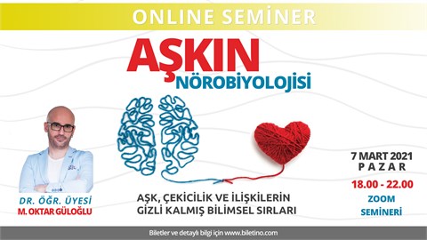 Aşkın Nörobiyolojisi: Aşk, çekicilik ve ilişkilerin gizli kalmış bilimsel sırları