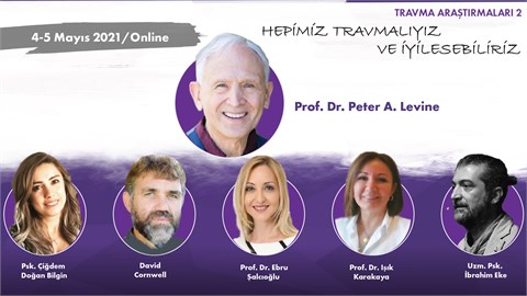 Travma Araştırmaları