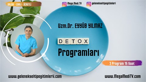 DETOKS PROGRAMLARI 