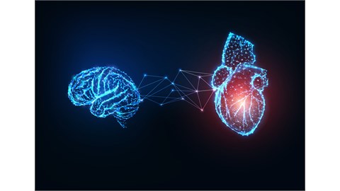 Neuromarketing Workshop