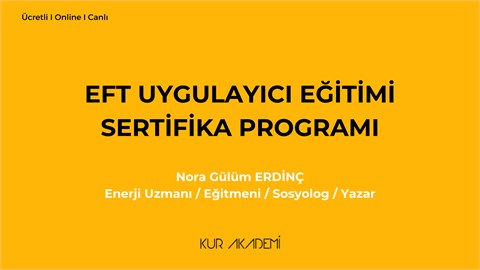 EFT Uygulayıcı Eğitimi Sertifika Programı
