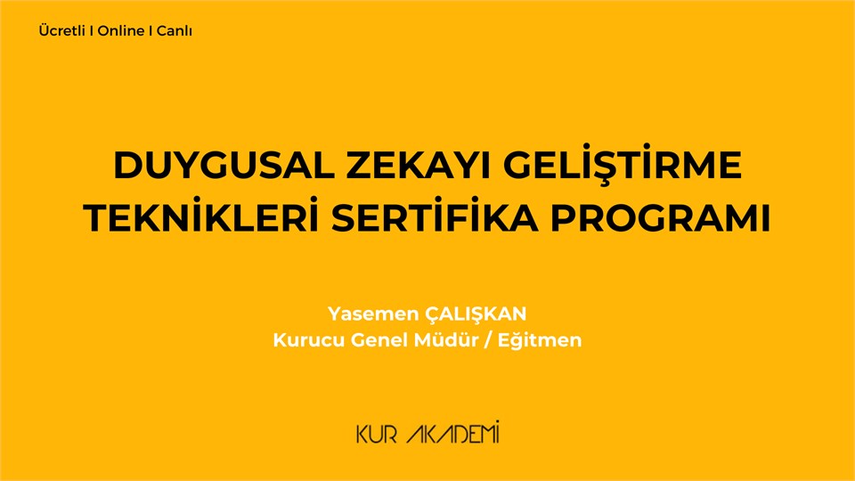 Duygusal Zekayı Geliştirme Teknikleri Sertifika Programı