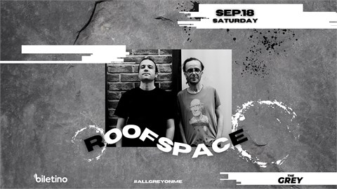 The Grey Performance Hall - ROOF SPACE