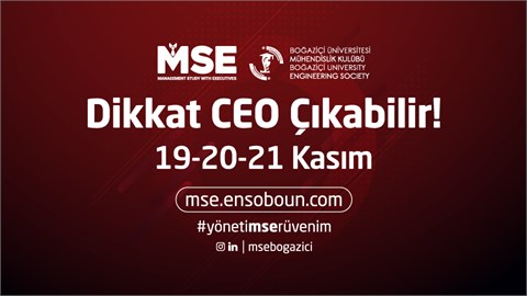 Management Study with Executives (MSE)