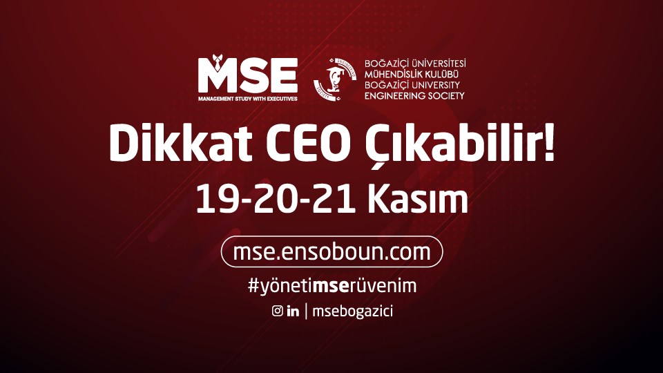 Management Study with Executives (MSE)