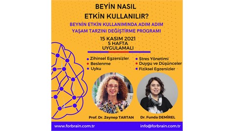Beyin Nasıl Etkin Kullanılır? Beynin Etkin Kullanımında Adım Adım Yaşam Tarzını Değiştirme Programı