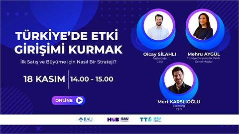 Türkiye'de Etki Girişimi Kurmak 