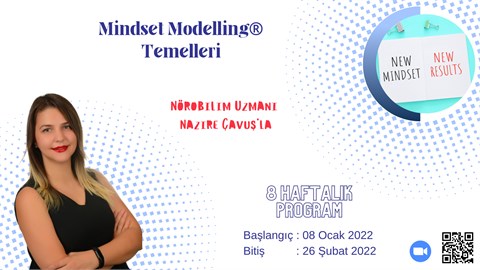 Mindset Modelling®
