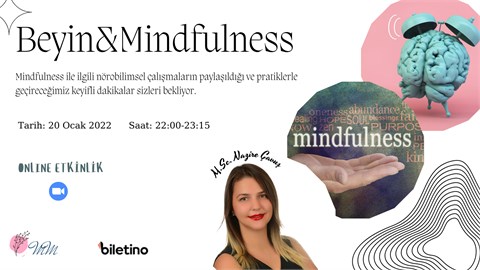 Mindset Modelling®  Beyin & Mindfulness
