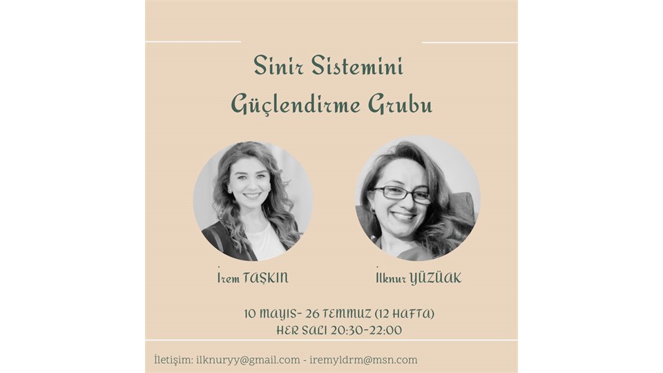 Sinir Sistemi Güçlendirme Grup Çalışması