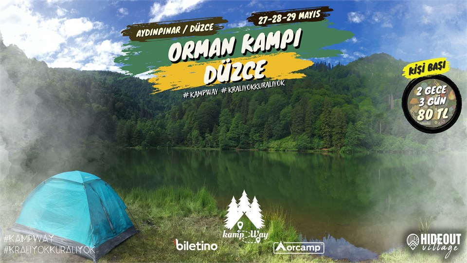 Orman Kampı Düzce | KampWay
