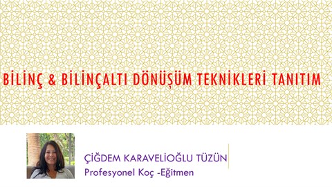 Bilinç & BİLİNÇALTI DÖNÜŞÜM TEKNİKLERİ TANITIM