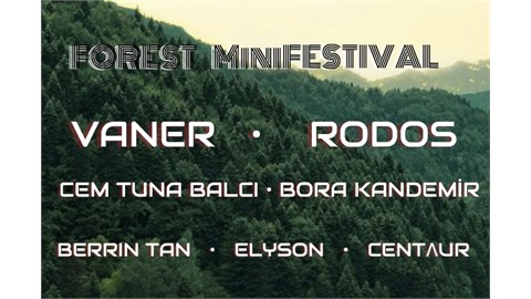 Forest MiniFestival
