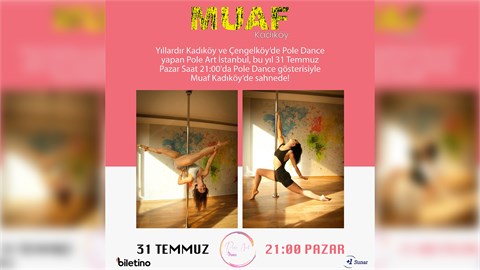 Pole Art İstanbul Dans Gösterisi
