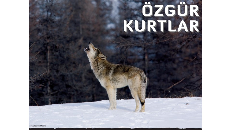 DAĞ FILMLERI FESTIVALI 27 SUBAT 2014/19:00/AYNALIGEÇİT