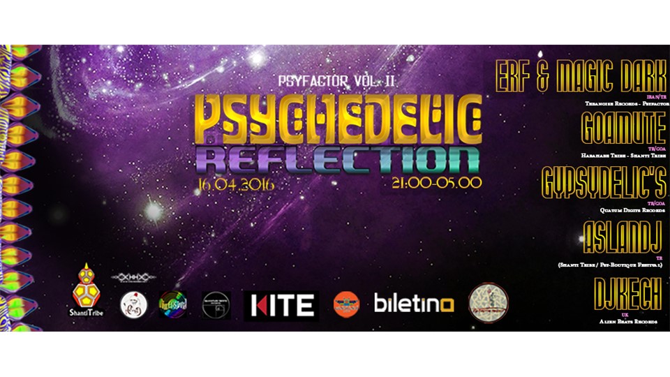 PSYFACTOR VOL II - PSYCHEDELIC REFLECTION