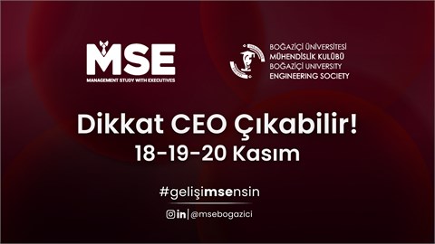 Management Study with Executives (MSE)