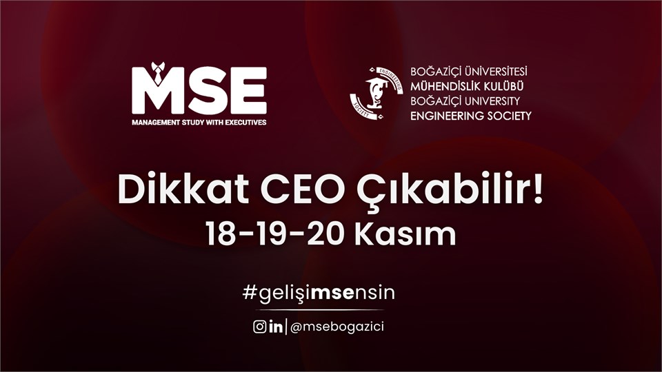 Management Study with Executives (MSE)