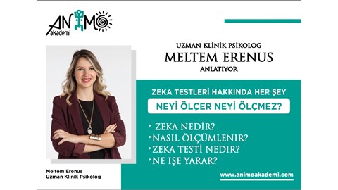 ZEKA TESTLERİ HAKKINDA HER ŞEY
