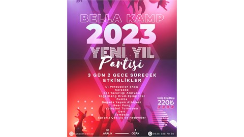 Yeni Yıl Partisi