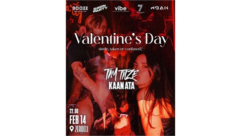 Valentine's Day Party