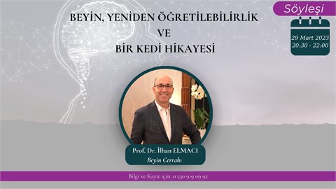 Beyin,Yeniden Öğretilebilirlik ve Bir Kedi Hikayesi