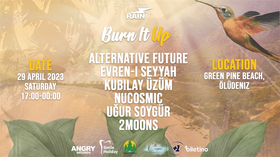BURN IT UP