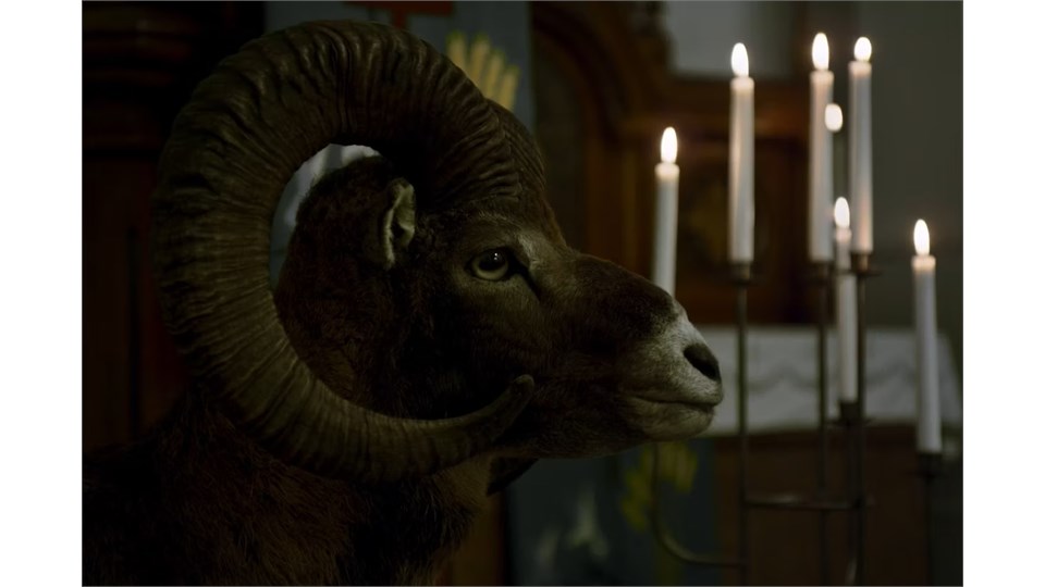 AÇIKHAVA FİLM GÖSTERİMİ: Animus Animalis (OPEN AIR SCREENING: Animus Animalis)