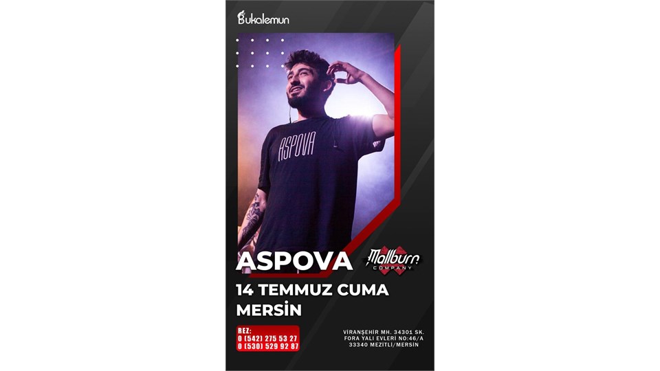 14 Temmuz Mersin Aspova Konseri
