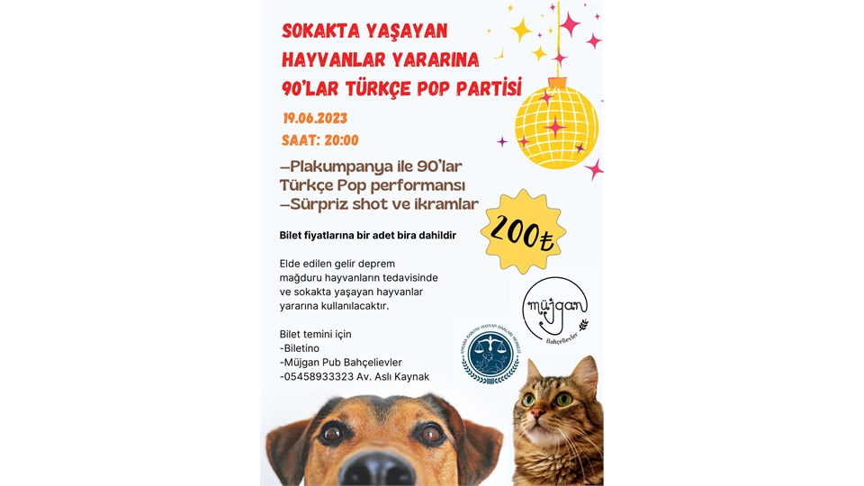 90'lar Türkçe Pop Partisi - Sokak Hayvanları Yararına