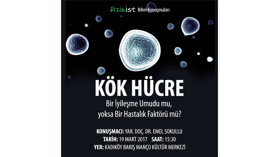 Kök Hücre: Bir İyileşme Umudu mu yoksa Bir Hastalık Faktörü mü?