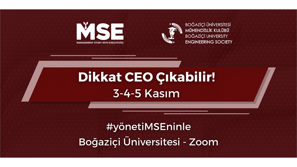 Management Study with Executives (MSE)