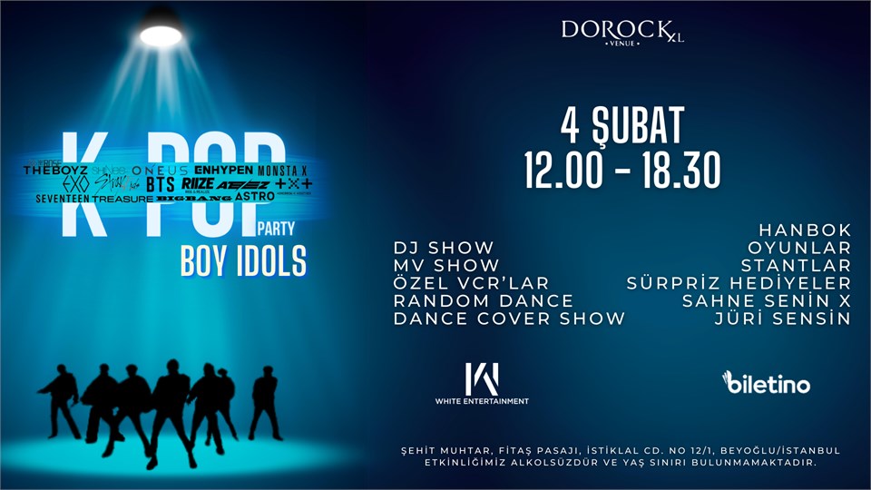  K-Pop Party Boy Idols 