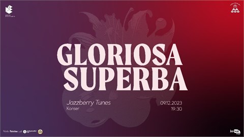 Jazzberry Tunes - Gloriosa Superba