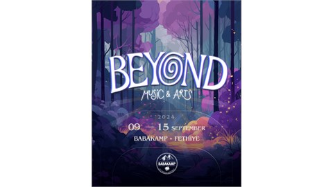 Beyond Music & Arts Festival