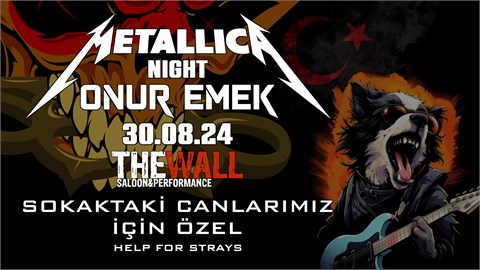 Onur Emek - Metallica Night (Sokaktaki Canlarımız İçin Özel)