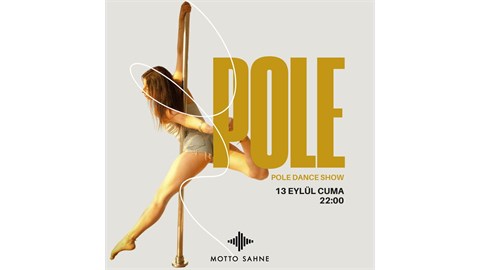 POLE ART DANCE NIGHT