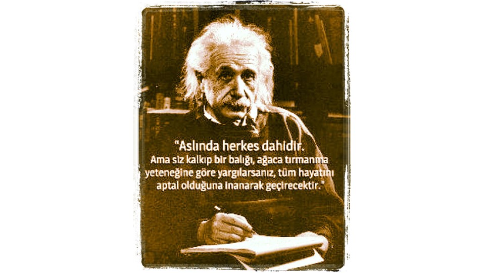 Balık mıyım, Maymun Mu? Gerçekten Kimim Ben? 