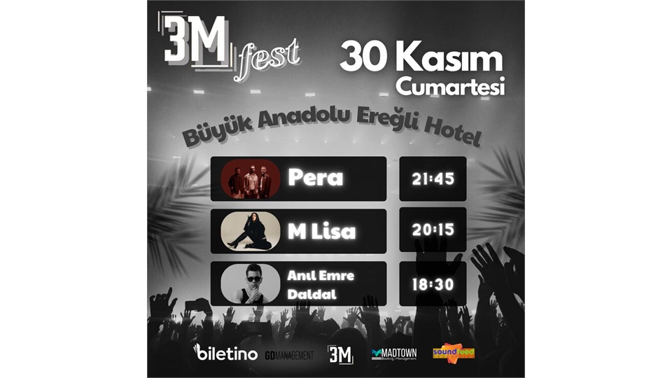 3M FEST