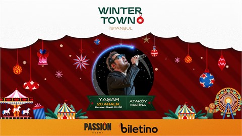 Winter Town İstanbul  / Yaşar