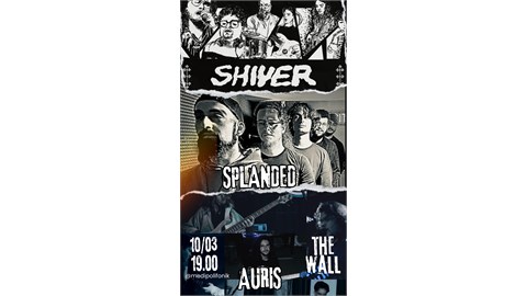 MEDİPOLİFONİK - SHIVER & SPLANDED & AURIS