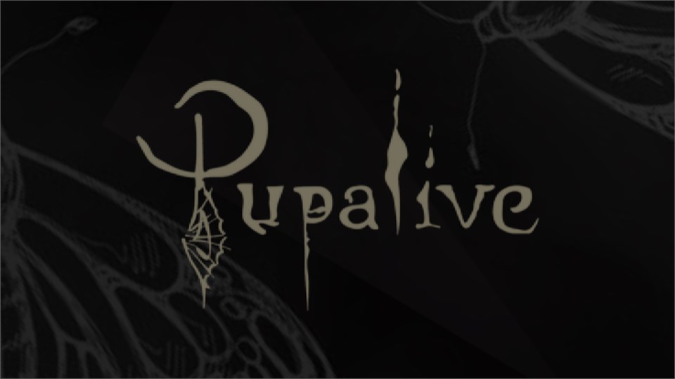 Pupalive İstanbul Konseri