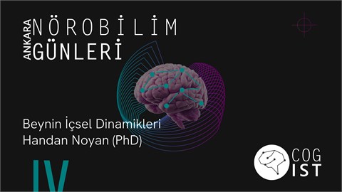 Beynin İçsel Dinamikleri - Ankara Nörobilim Günleri #4