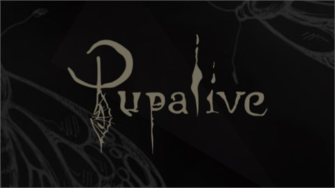 Pupalive istanbul Konseri